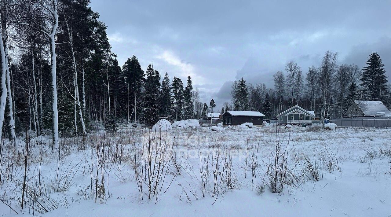 земля р-н Выборгский Приморское городское поселение, Сосновый пляж кп фото 9