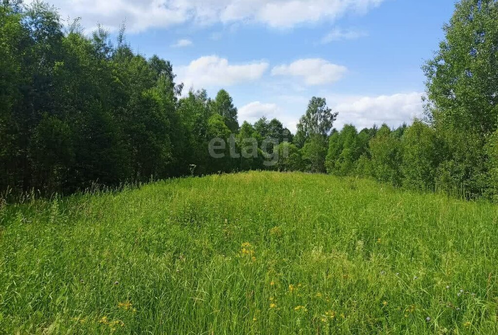 дом р-н Кировский д Якимово ул Центральная фото 9