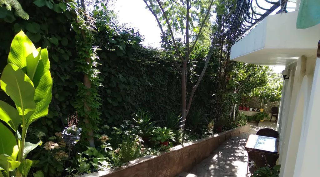 комната г Судак пгт Новый свет Миндальный кв-л, 21 фото 23