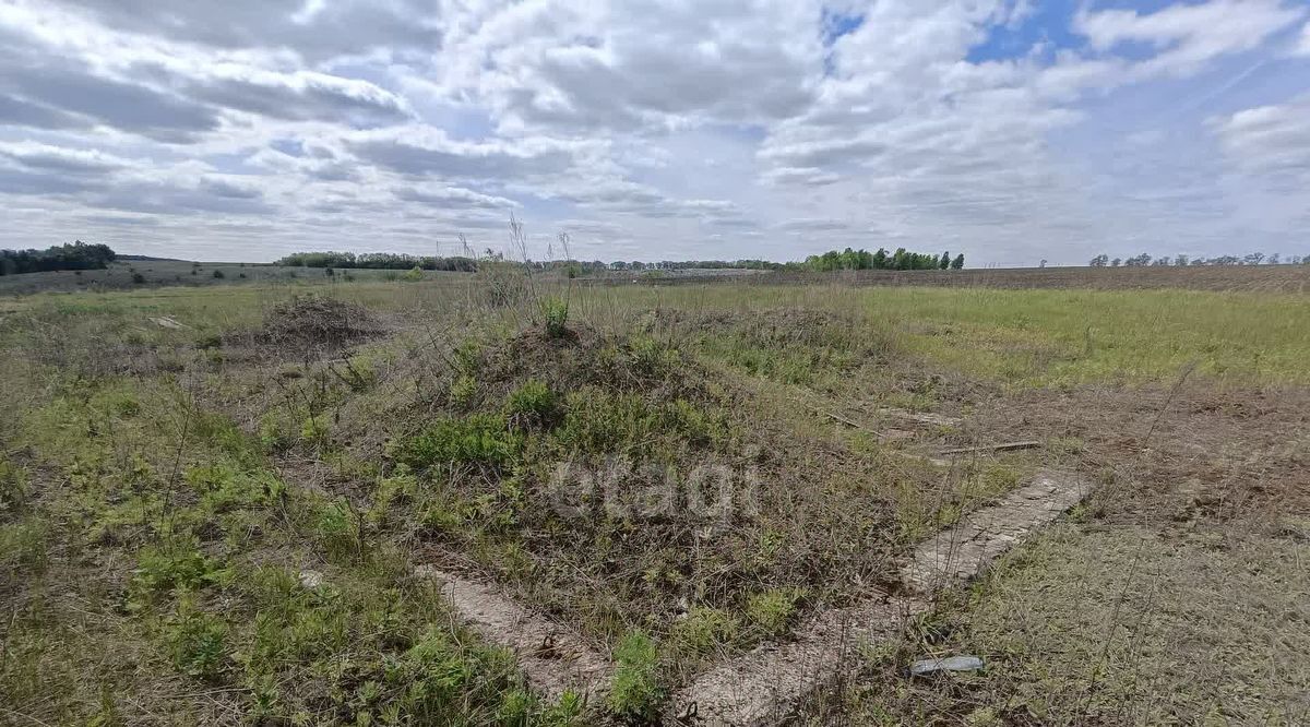 земля р-н Вейделевский п Вейделевка ул Каштановая городское поселение Вейделевка фото 2