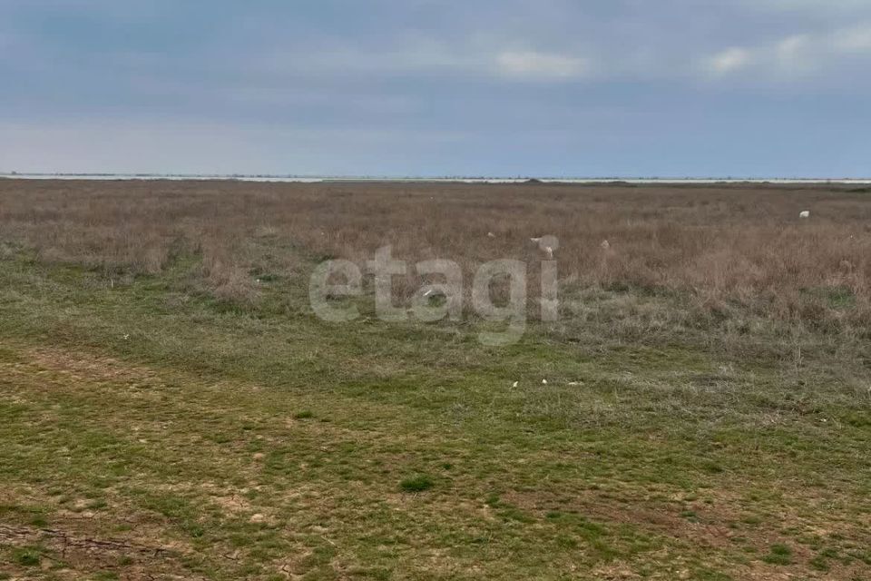 земля р-н Черноморский фото 1