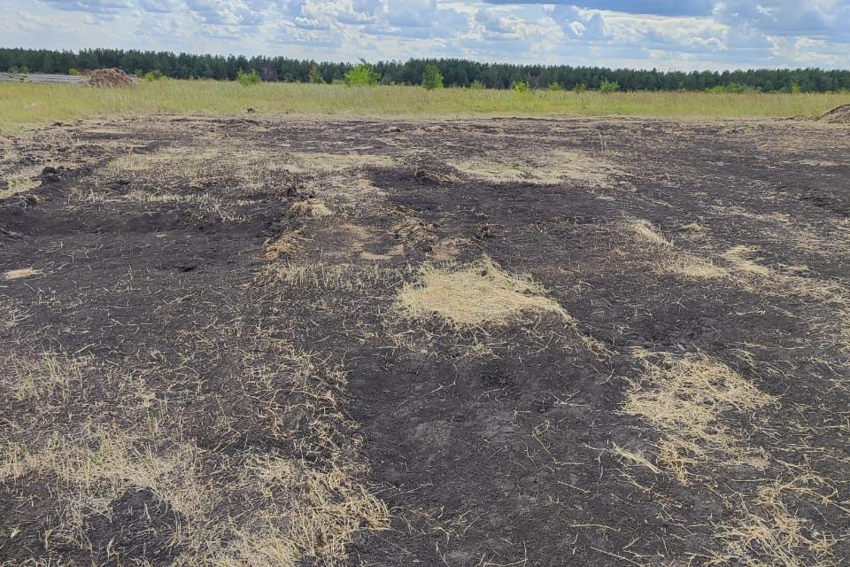 земля Саратов городской округ, СНТ Тополек фото 3