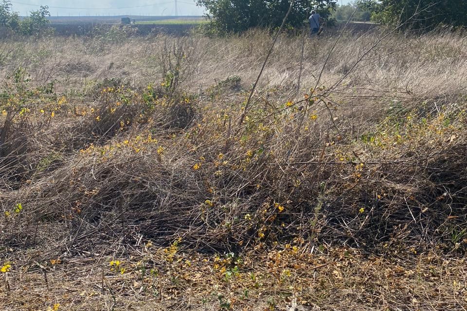 земля р-н Анапский х Черный ул Свободы 9 Анапа городской округ фото 2