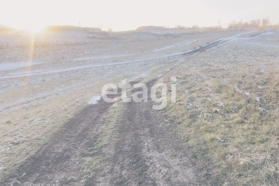 земля р-н Емельяновский д Старцево тер. ДНТ Алые Паруса ул Центральная 12 фото 3