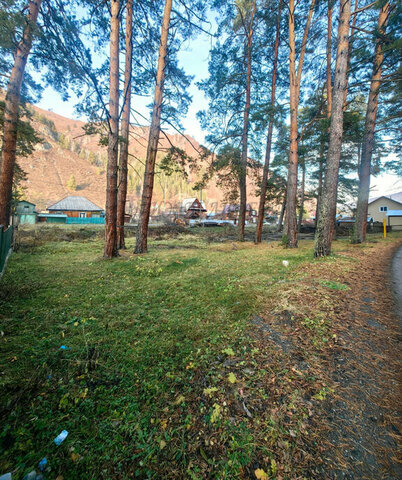 пер Лесхозовский фото