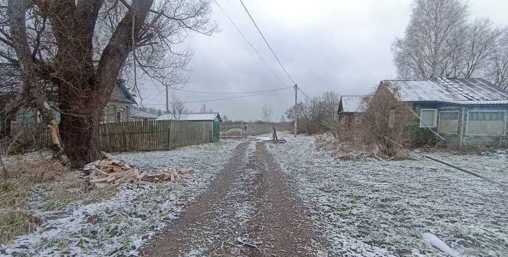 дом р-н Ярославский д Девятово Курбское сельское поселение, Дубки фото 11