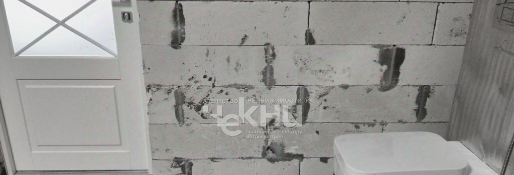 дом г Бор д. Темряшино, 101 фото 2
