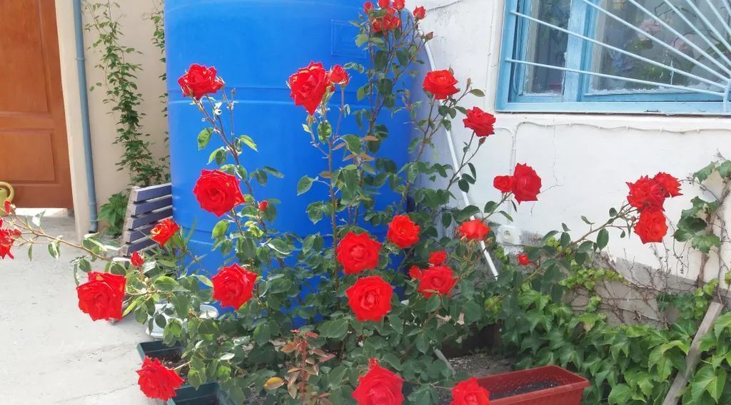 комната г Алушта с Малореченское ул Подгорная 15а фото 12