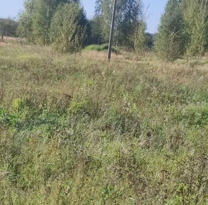 земля р-н Солецкий д Большое Заборовье ул Вольная фото 3