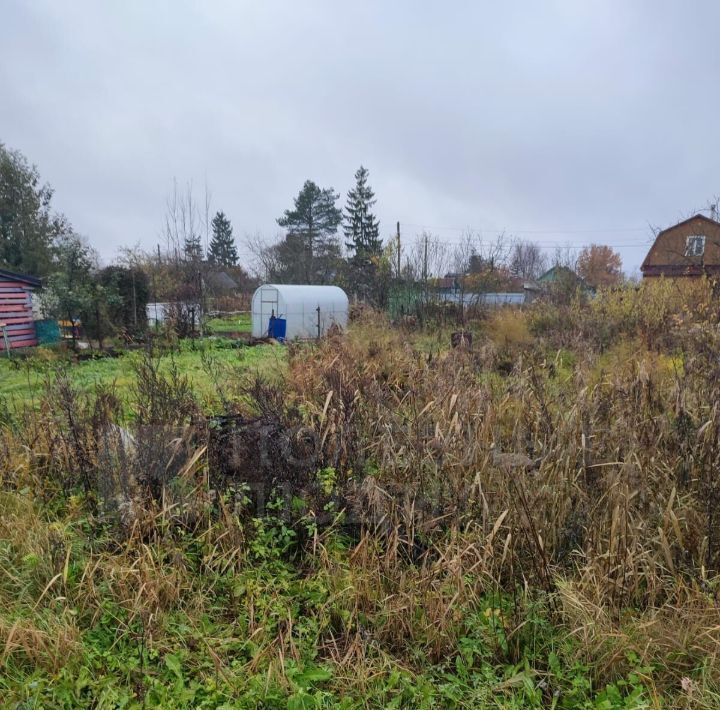 земля р-н Новгородский рп Панковка ул Индустриальная Панковское городское поселение фото 6