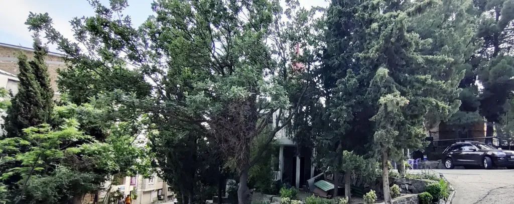 комната г Алушта п Утес ул Гагариной 25/353 фото 25
