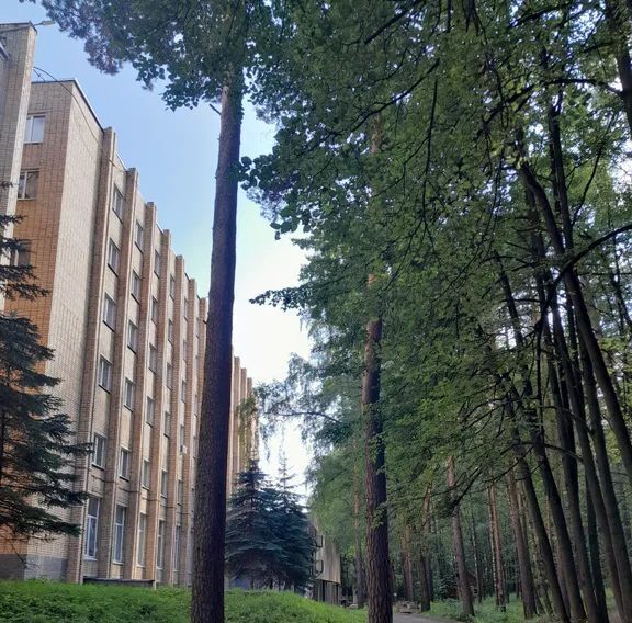 комната г Ивантеевка проезд Санаторный 2 Пушкинский городской округ фото 11
