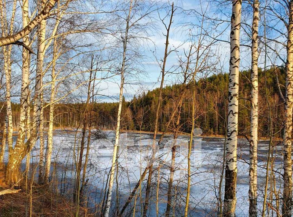 земля р-н Пригородный с Малая Лая ул Космонавтов фото 6