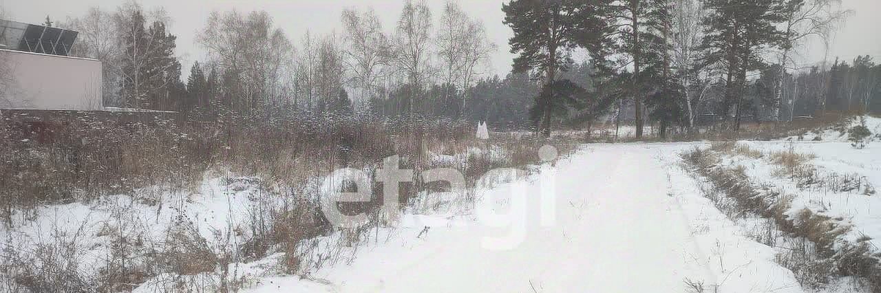 земля р-н Емельяновский д Крутая Емельяново городское поселение фото 1