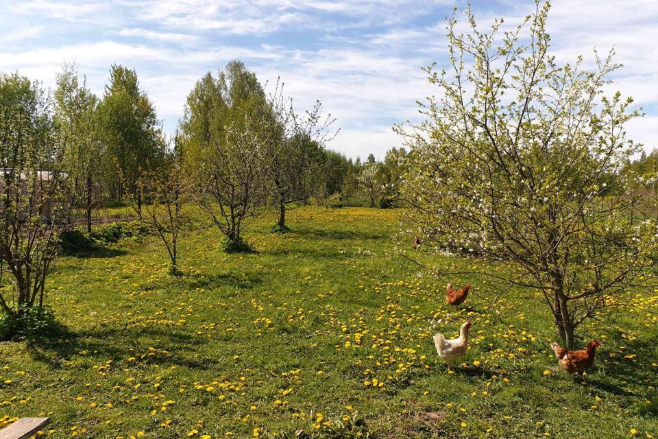 дом городской округ Клин с Борщево 29А фото 9