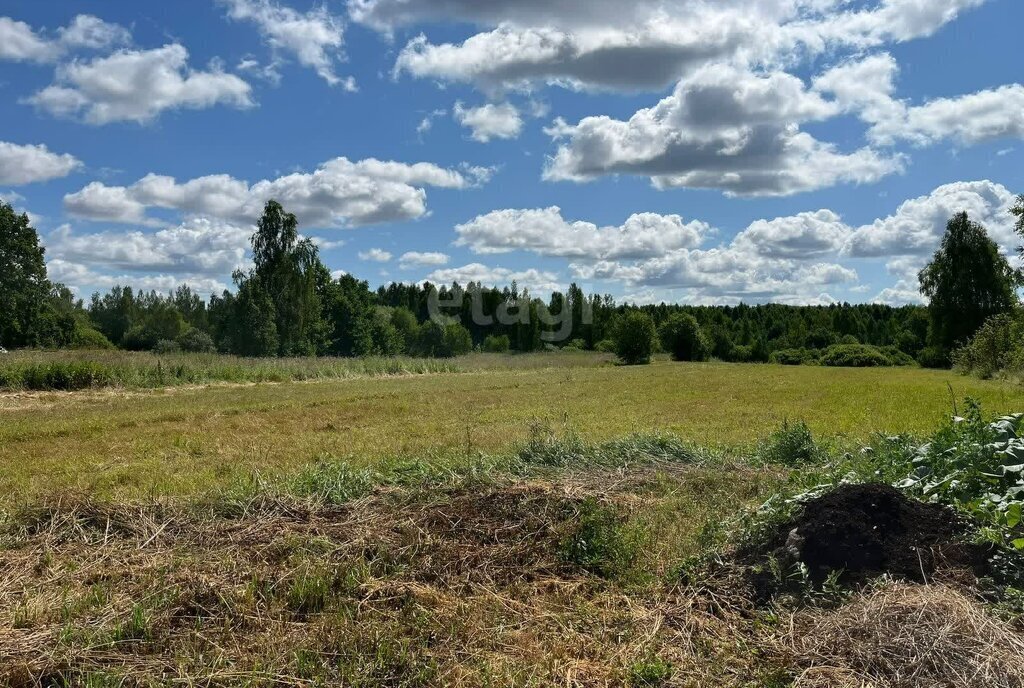 земля р-н Оршанский д Малая Орша ул Дорожная Марковское сельское поселение фото 5