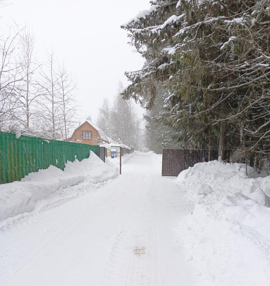 земля городской округ Павловский Посад д Дальняя pipe, 2/1, Электрогорск фото 5