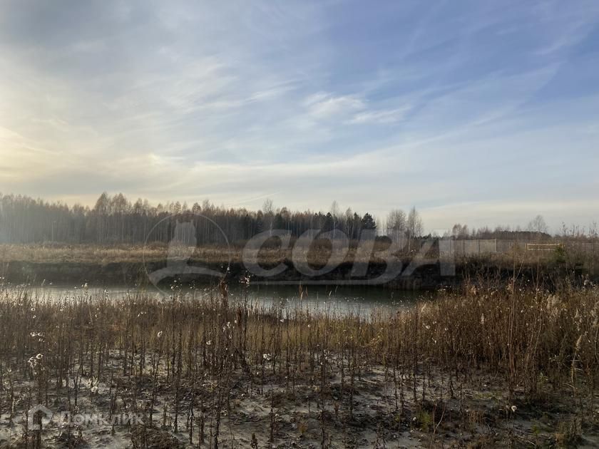 земля р-н Нижнетавдинский СТ Агро фото 5