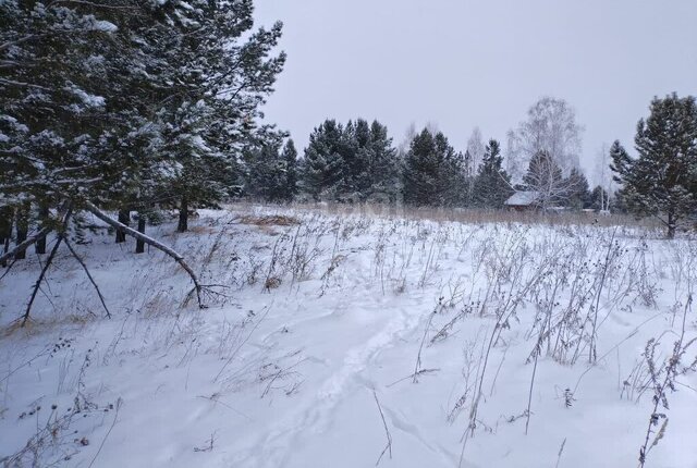 д Красновка сельсовет, Сучковский фото