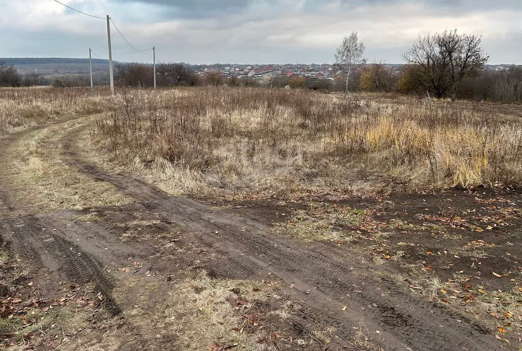 земля Новосадовское сельское поселение, территория Автодорога Белгород - Ближняя Игуменка фото 10