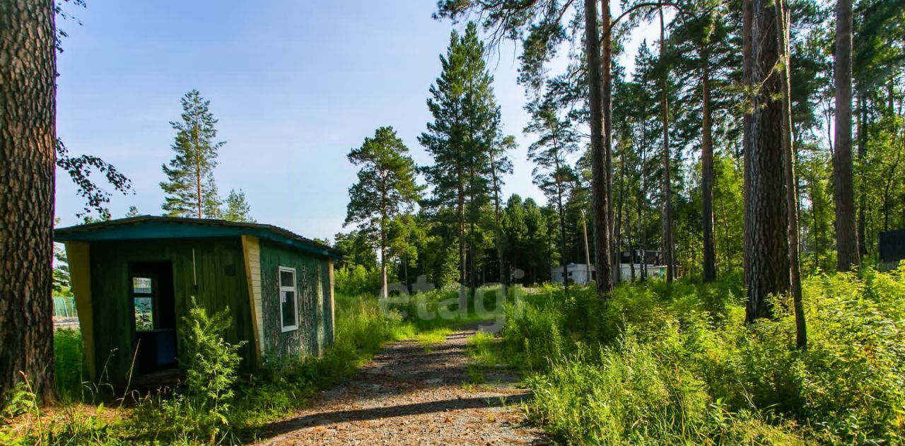 земля г Новосибирск Заельцовская ш Лесное фото 10