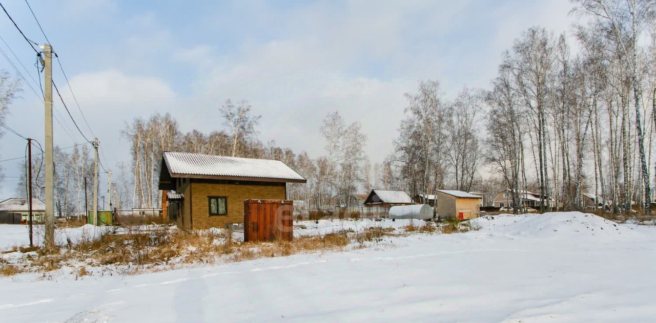 земля р-н Новосибирский с Марусино Криводановский сельсовет, ул. Ясная, 22 фото 10