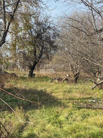 р-н Анапский ст-ца Гостагаевская ул Пионерская городской округ Анапа фото