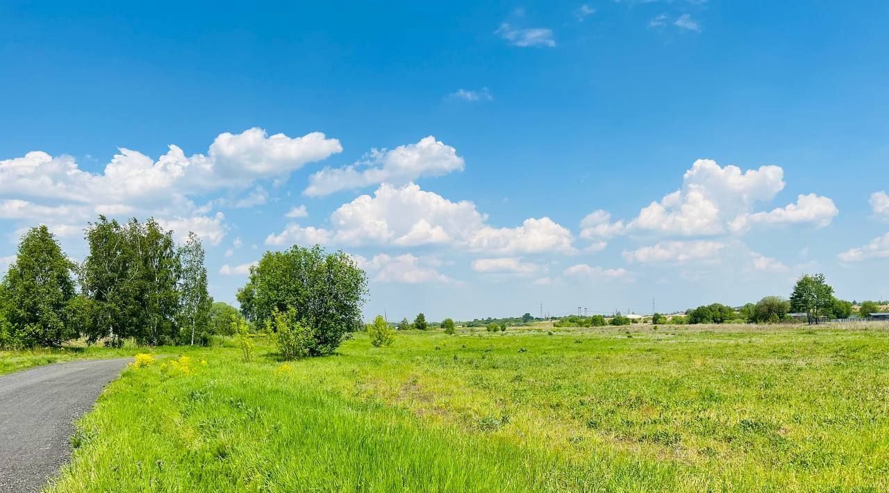 земля городской округ Раменский Пахра Ривер Парк кп, 401, Домодедовская фото 5