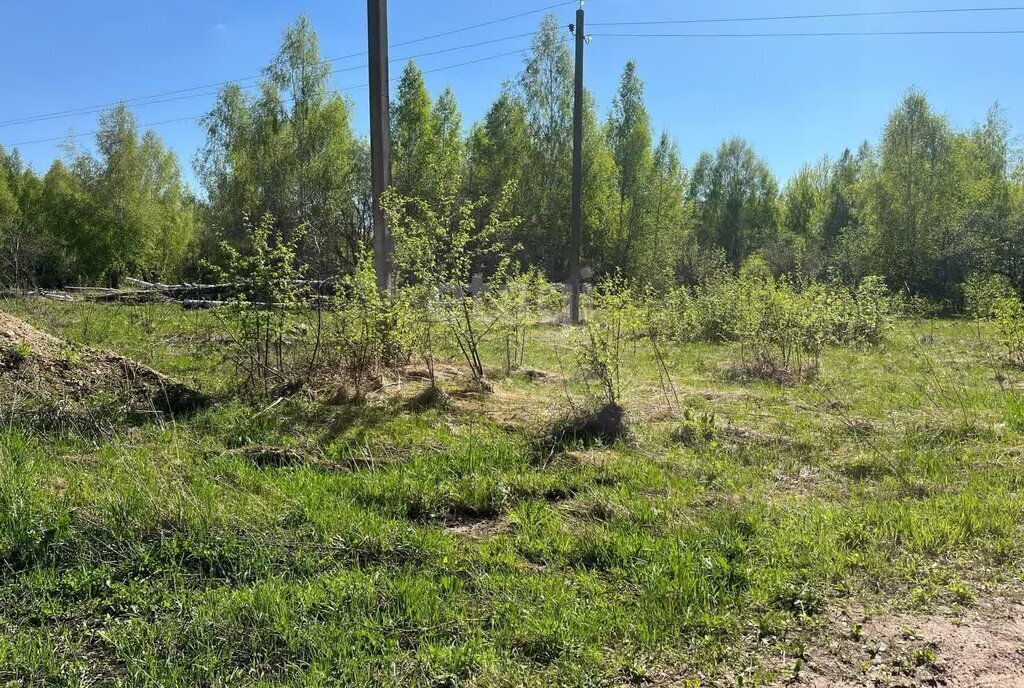 земля р-н Богородский сельский посёлок Центральный фото 1