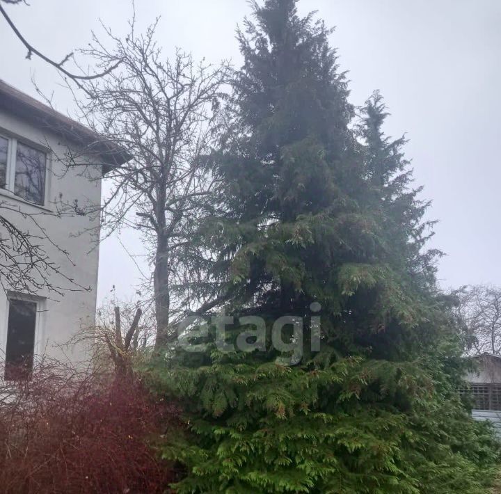 дом р-н Гурьевский п Авангардное снт Родничок ул. Рябиновая фото 11