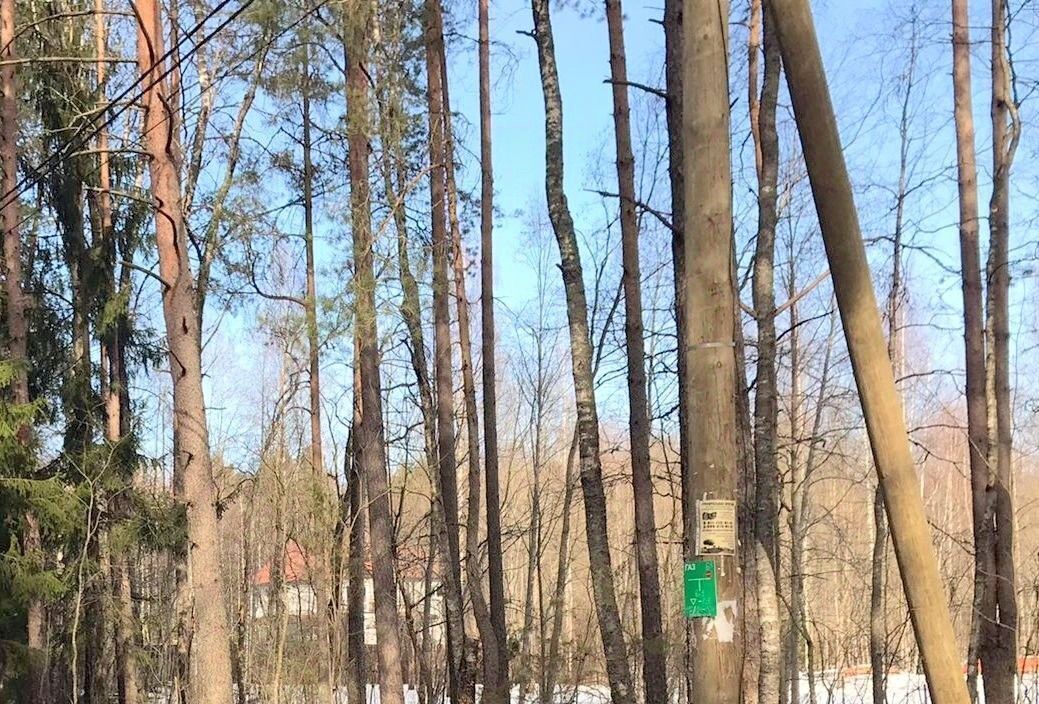 земля р-н Выборгский п Ганино ул Хвойная Рощинское городское поселение, Беговая фото 4