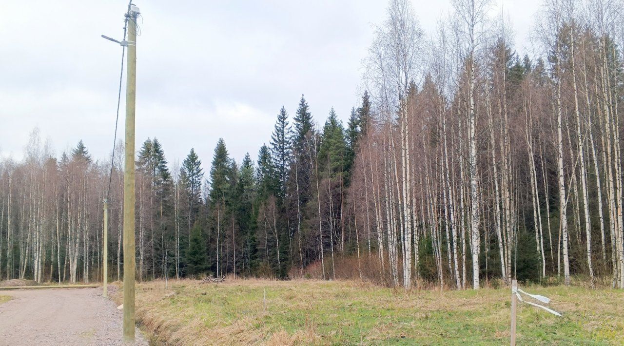 дом р-н Выборгский п Лебяжье Рощинское городское поселение, Беговая, проезд Алексея Беневоленского, 3 фото 15