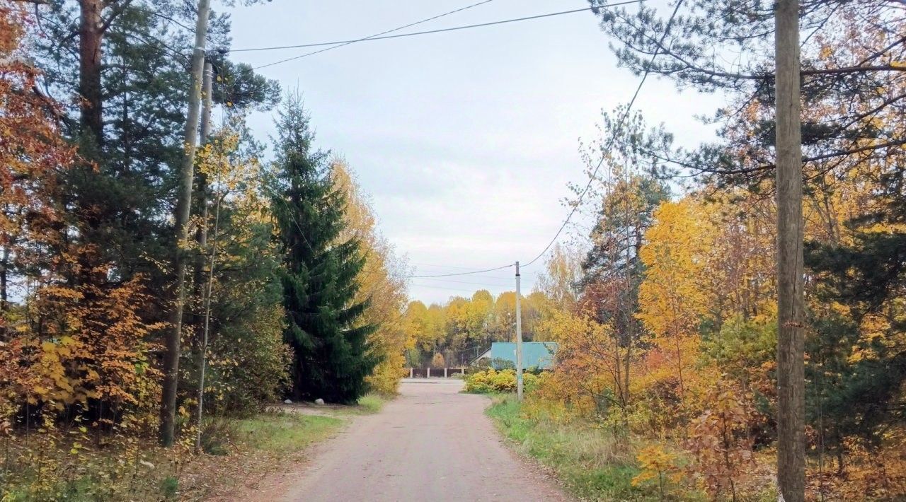 земля р-н Выборгский п Стрельцово Беговая, Красносельское с пос фото 9