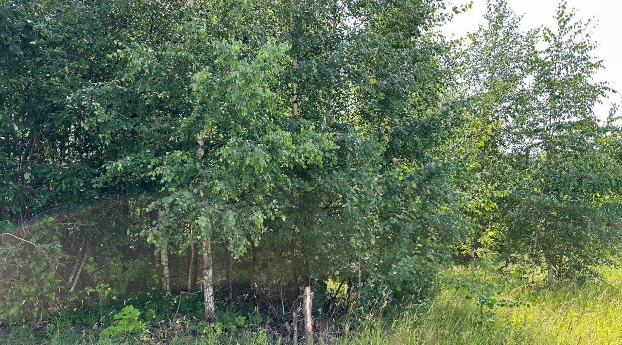 земля р-н Выборгский г Высоцк ул Победы 10 Высоцкое городское поселение фото 13