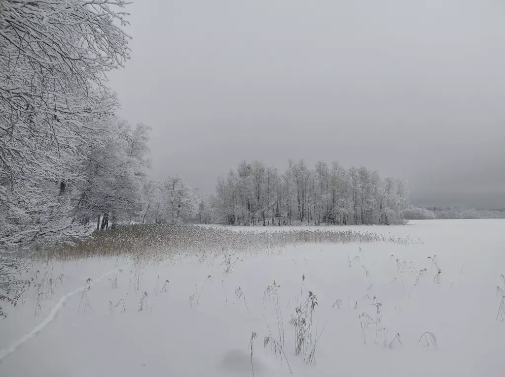 дом р-н Лахденпохский п Сикопохья 1, Лахденпохья фото 15