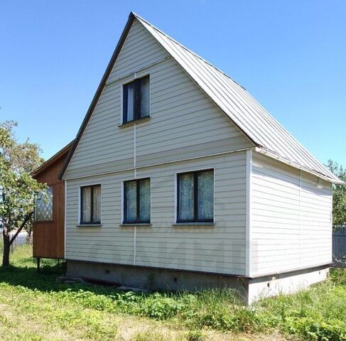 ул Лесная 100 фото