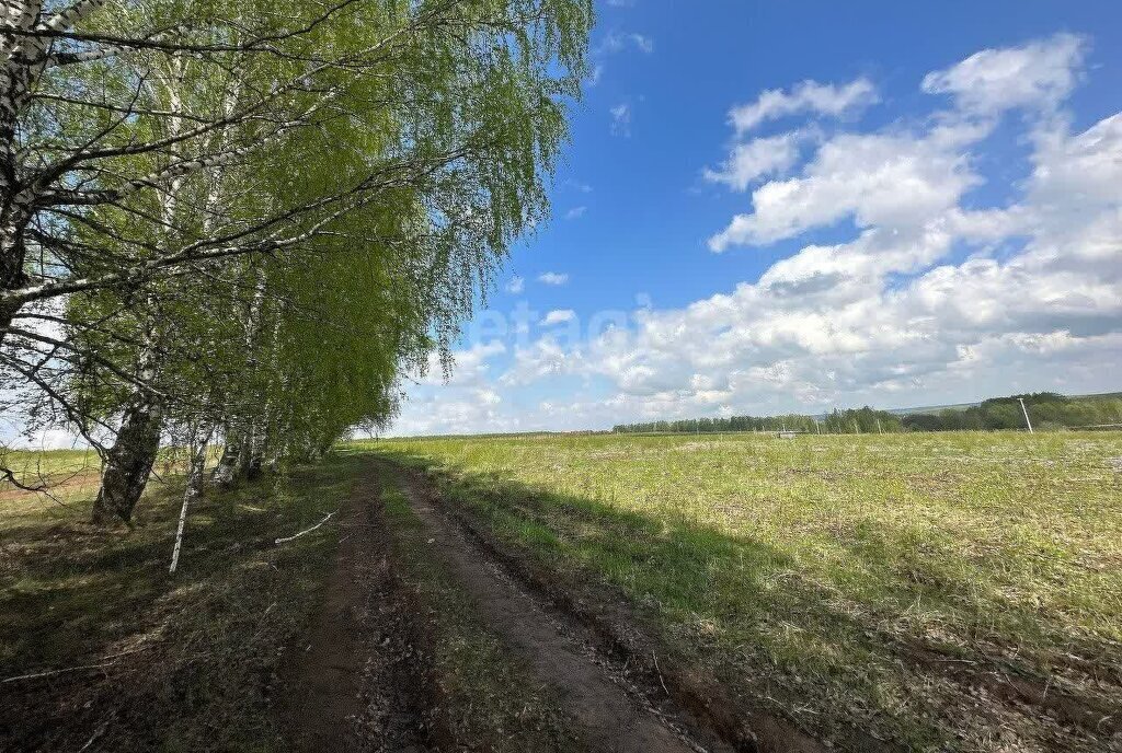 земля р-н Богородский д Килелей фото 2