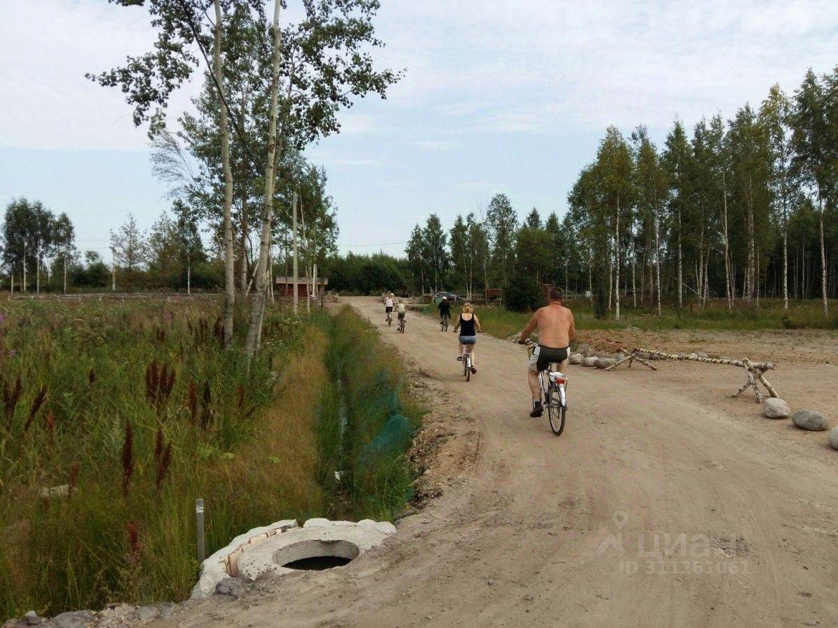 земля р-н Всеволожский Свердловское городское поселение, Моя Семья СНТ, Рыбацкое фото 10