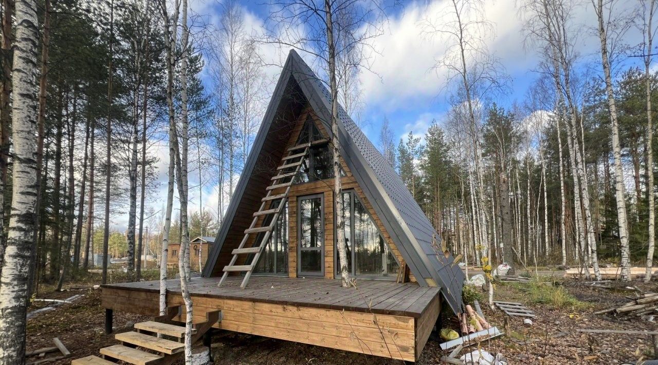 дом Всеволожское городское поселение, СОСН Раздолье тер., Ладожская, ул. Облепиховая, 20 фото 6