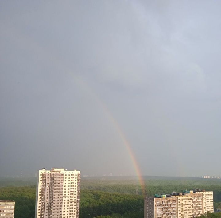 квартира г Москва метро Беляево ул Введенского 13в муниципальный округ Коньково фото 10