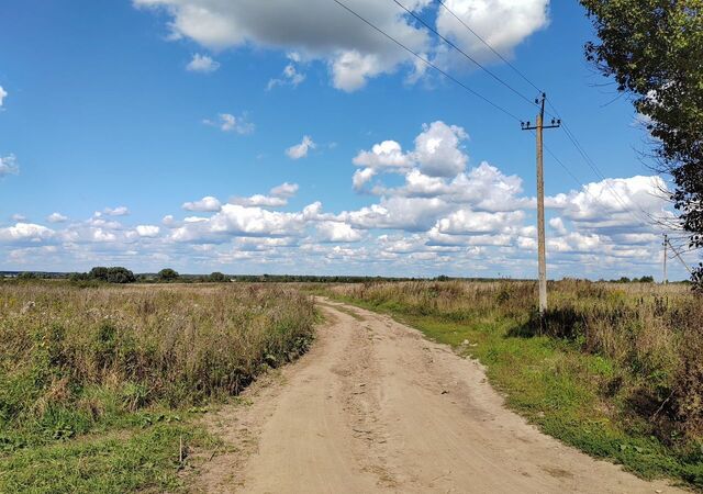 земля с Никитское 56 км, Воскресенск, Новорязанское шоссе фото