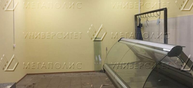 свободного назначения г Москва метро Выхино ул Вешняковская 39г муниципальный округ Вешняки фото 5