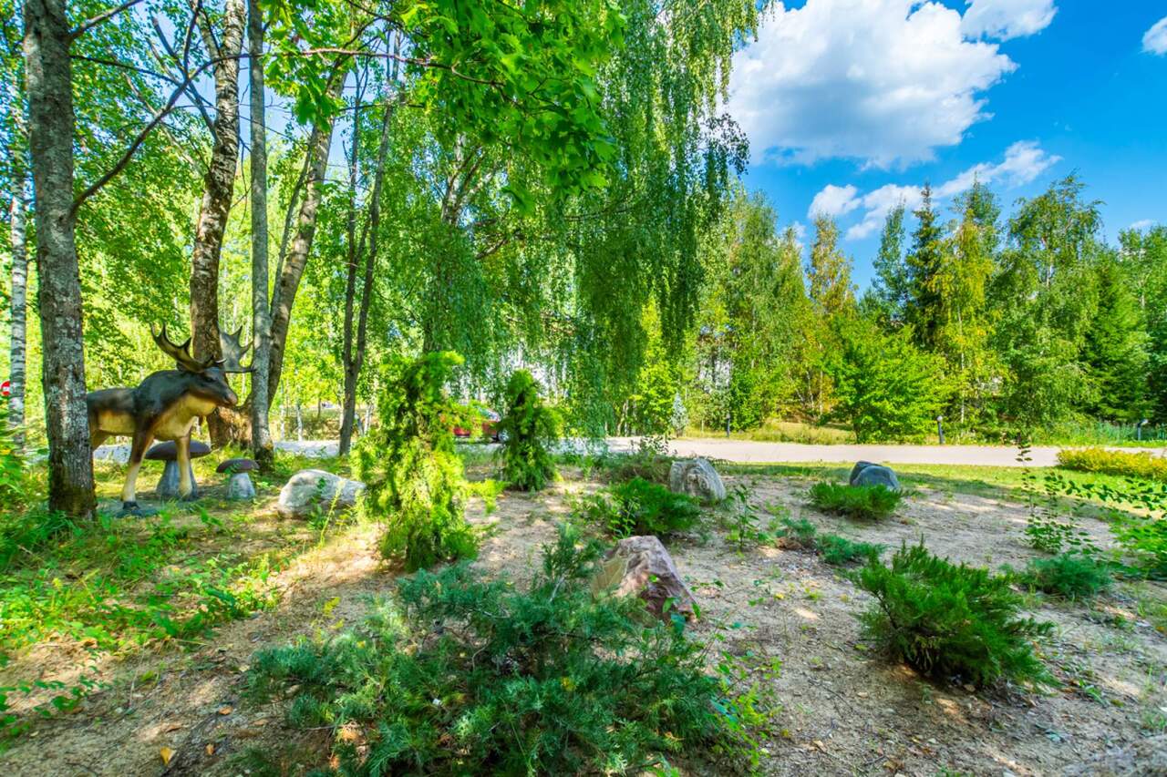 дом городской округ Дмитровский д Спас-Каменка д. С 5, Дмитровское шоссе фото 7