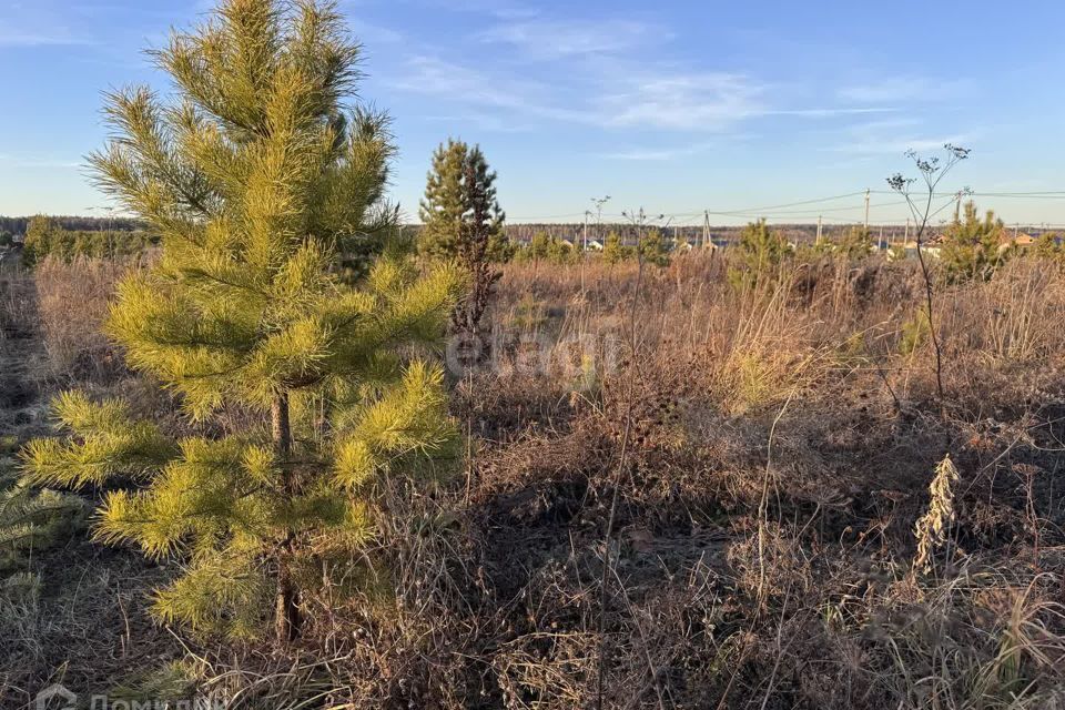 земля Полевской городской округ, Курганово фото 2