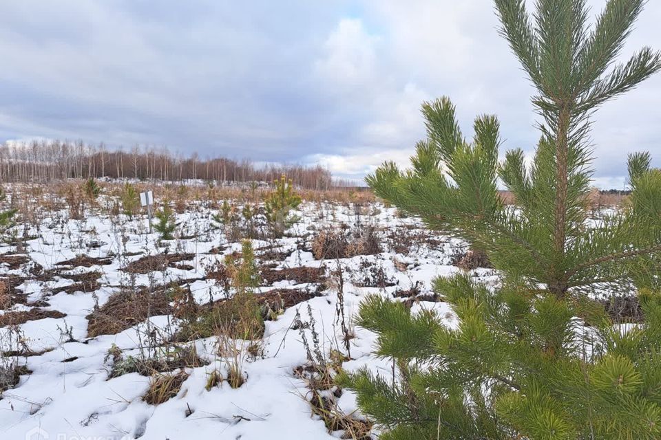 земля г Екатеринбург п Сысерть Екатеринбург, Сысерть, муниципальное образование фото 3