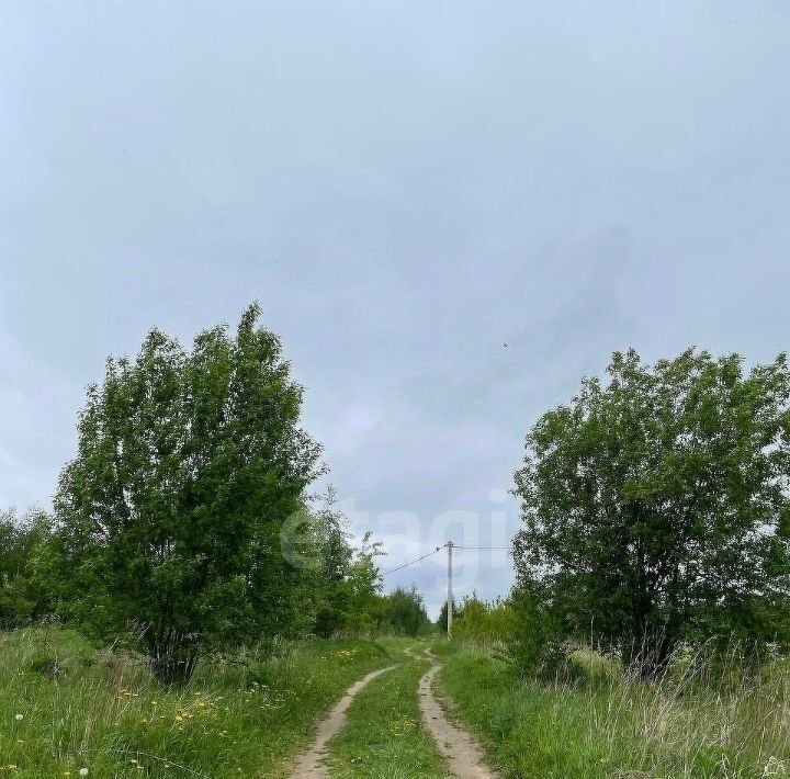 земля р-н Гдовский г Гдов ул Никитина городское поселение Гдов фото 6