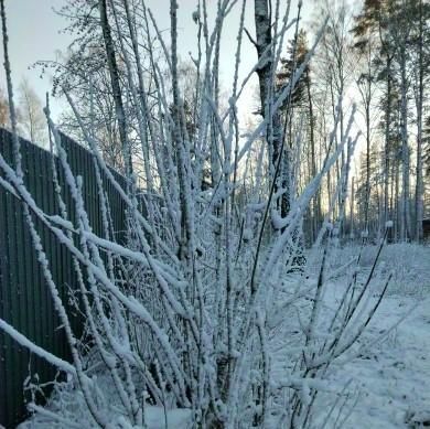 дом р-н Выборгский п Октябрьское Полянское с/пос фото 14