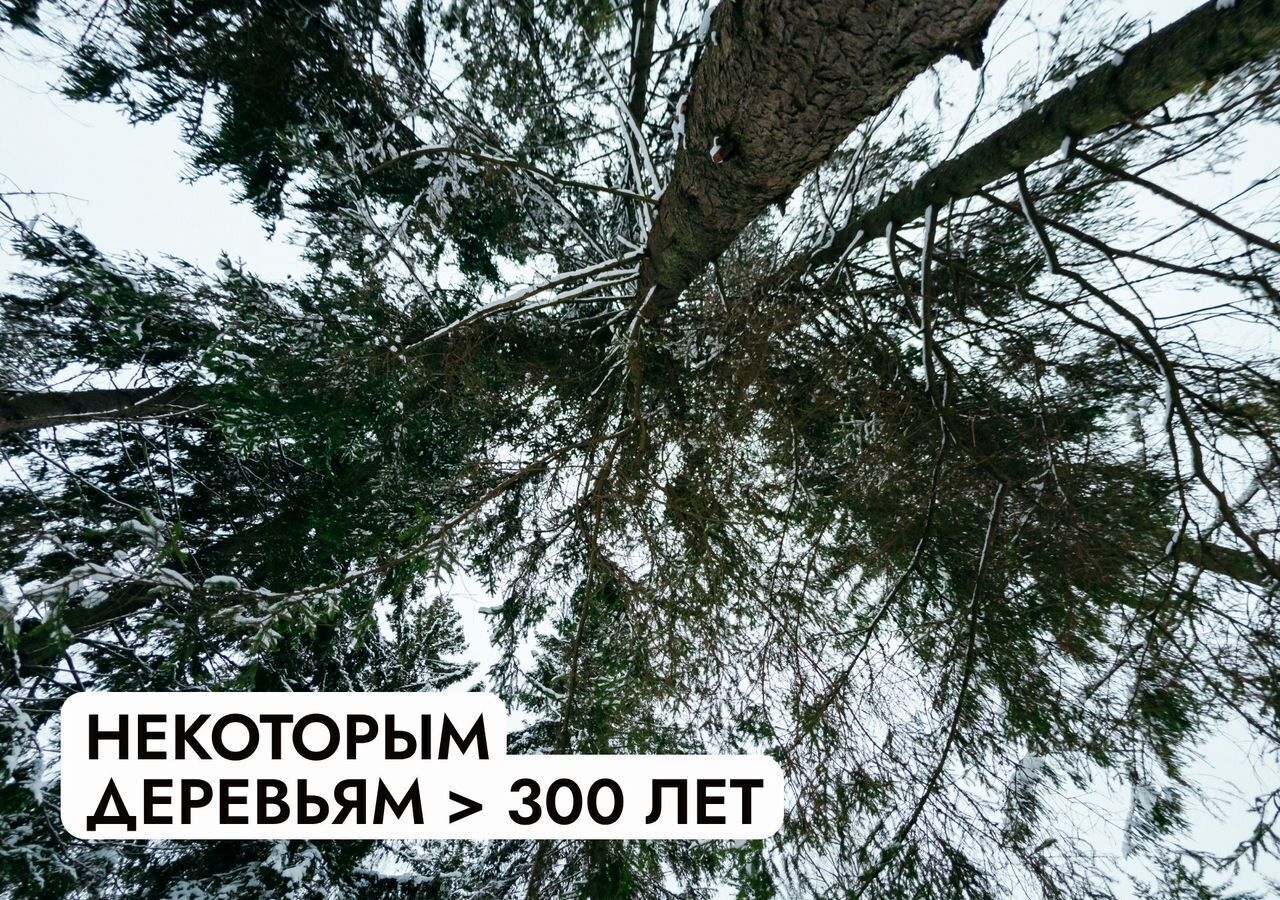 земля городской округ Солнечногорск п Жуково ул Красная 8 36 км, г. о. Солнечногорск, Поварово, Ленинградское шоссе фото 24