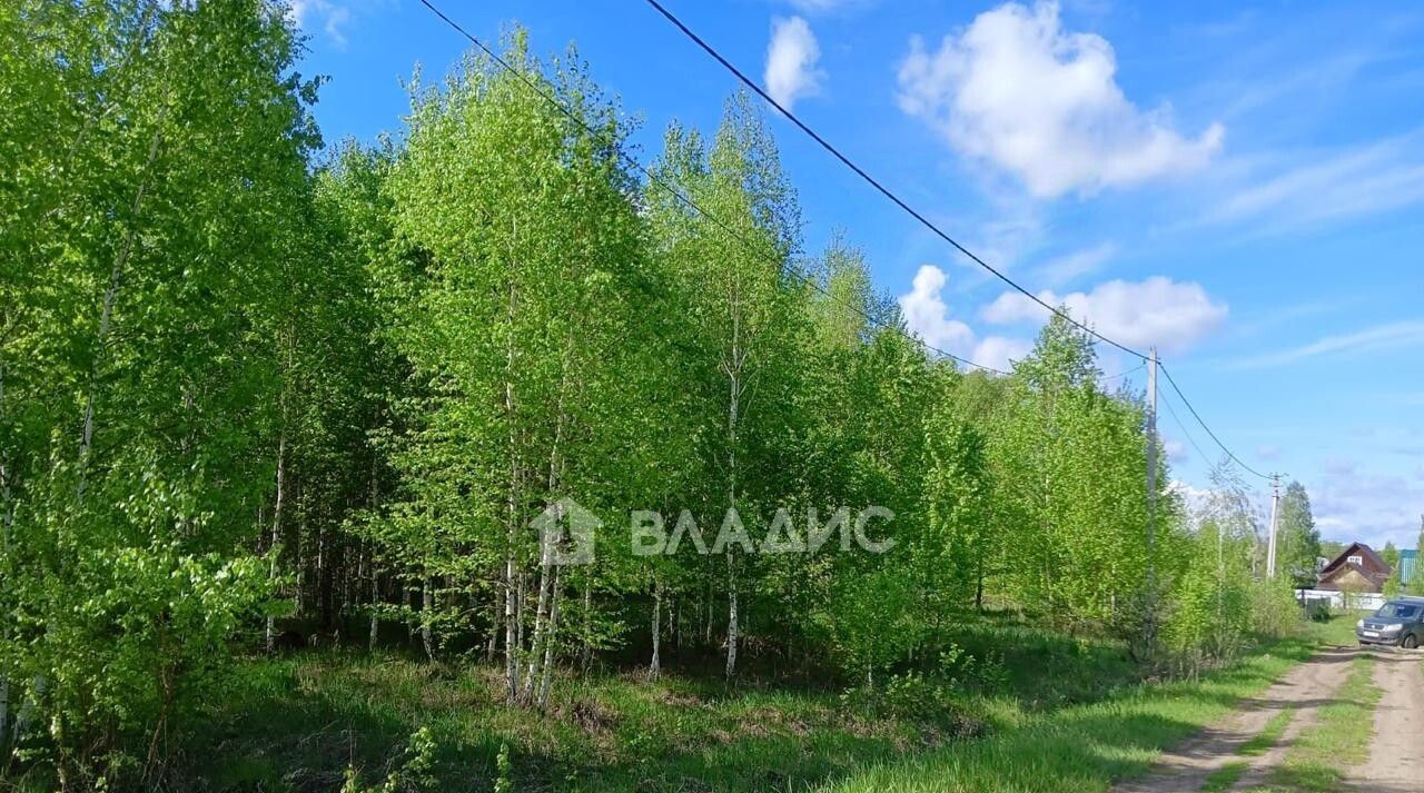 земля р-н Новосибирский с Ленинское Морской сельсовет, СНТ, ул. Лесная, Поселок Новониколаевский фото 7