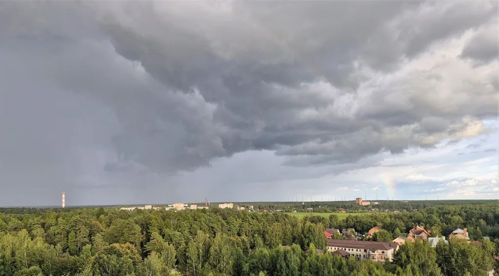 квартира городской округ Пушкинский п Зеленоградский снт Зеленоградский ЖК «Зеленый Город» ул. Зеленый Город, 1 фото 17